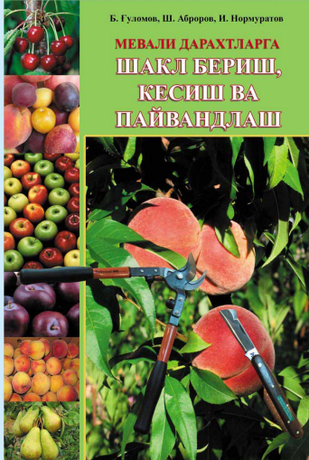 Мевали дарахтларга шакл бериш, кесиш ва пайвандлаш