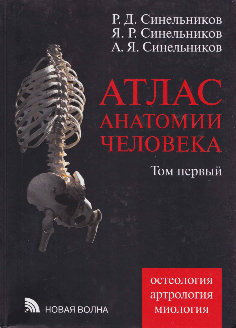 Атлас анатомии человека том-1