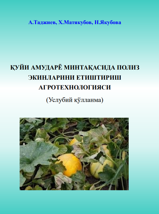 Қуйи Амударё минтақасида полиз экинларини етиштириш агротехнологияси