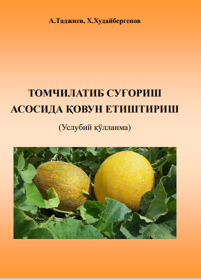 Томчилатиб суғориш асосида қовун етиштириш
