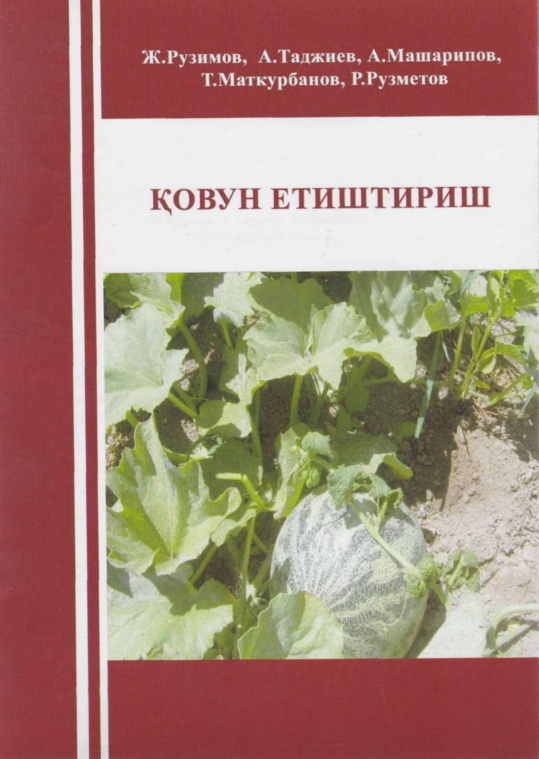 Қовун етиштириш