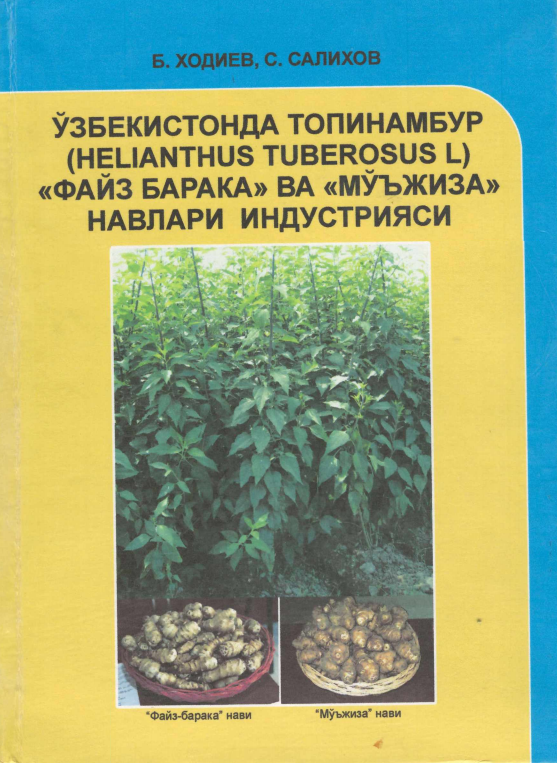 Ўзбекистонда топинабур (Heliantus tuberosus L) Файз барака ва Мўъжаза навлари индустрияси