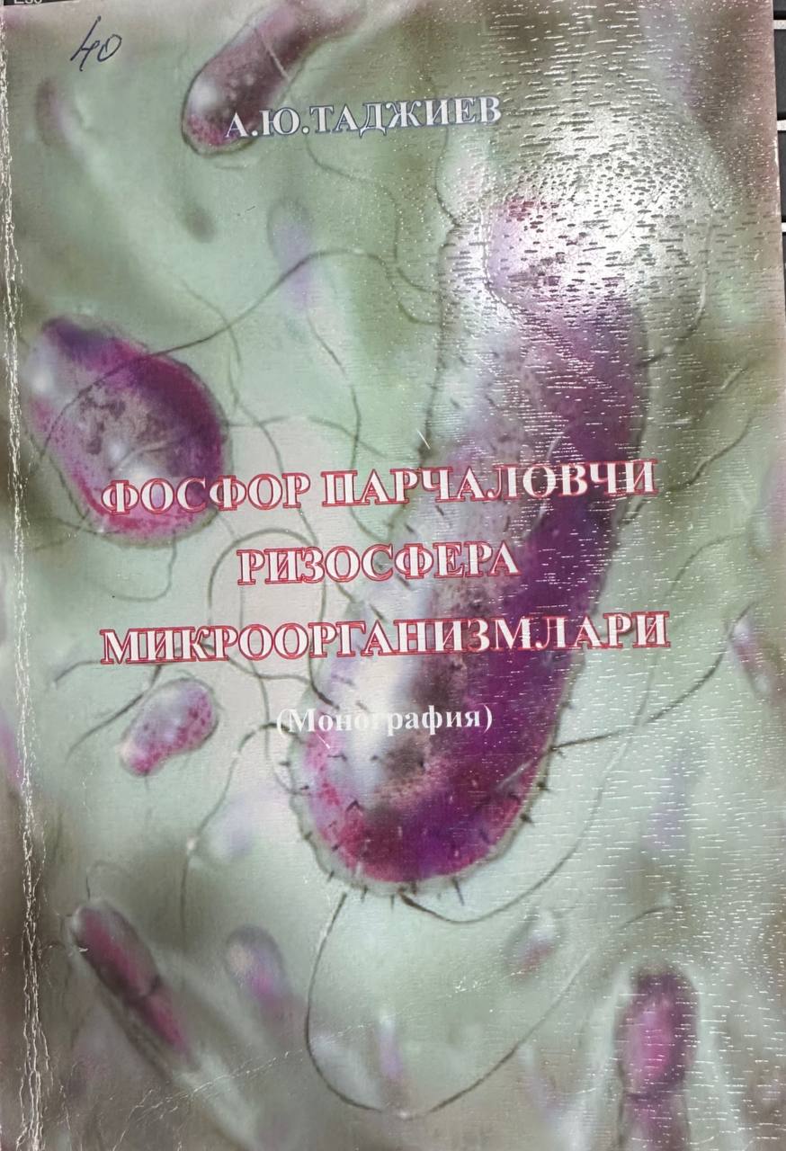 Фосфор парчаловчи ризофера микроорганизмлари