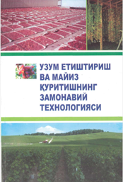 Узум етиштириш ва майиз қуритишнинг замонавий технологияси