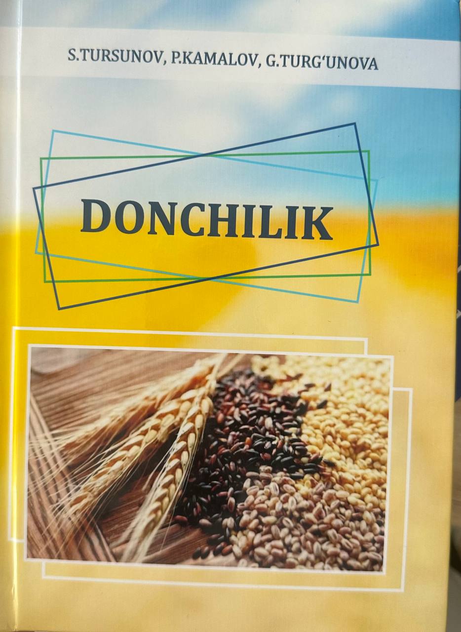 Donchilik