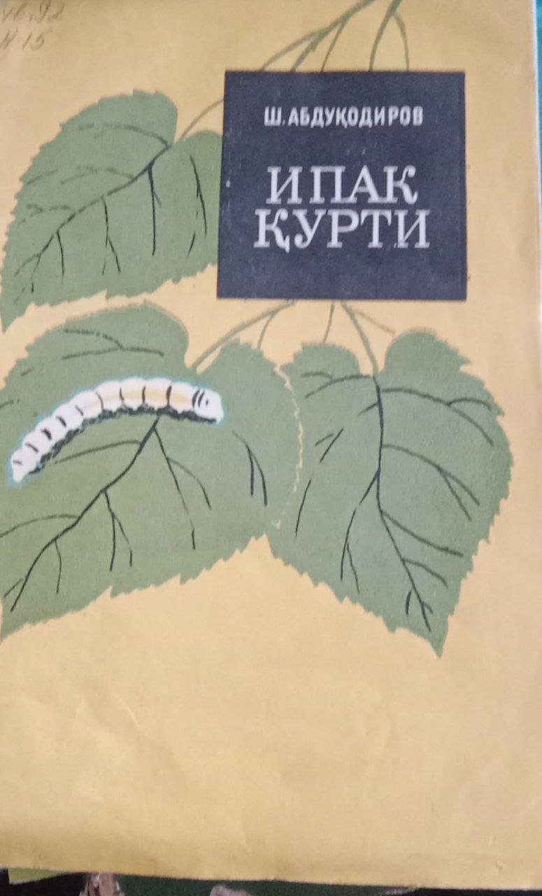 Ипак қурти