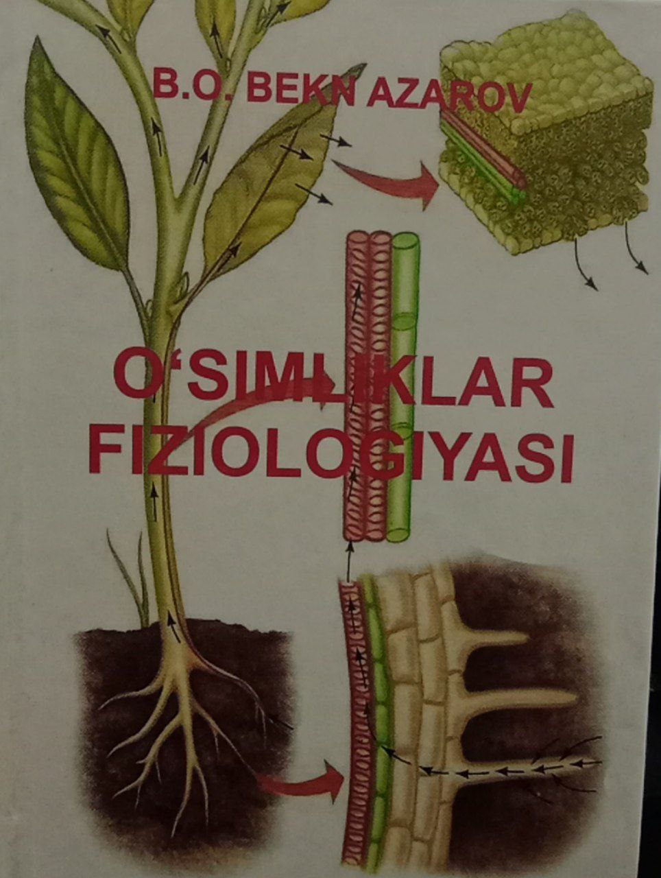 O`SIMLIKLAR FIZIOLOGIYASI