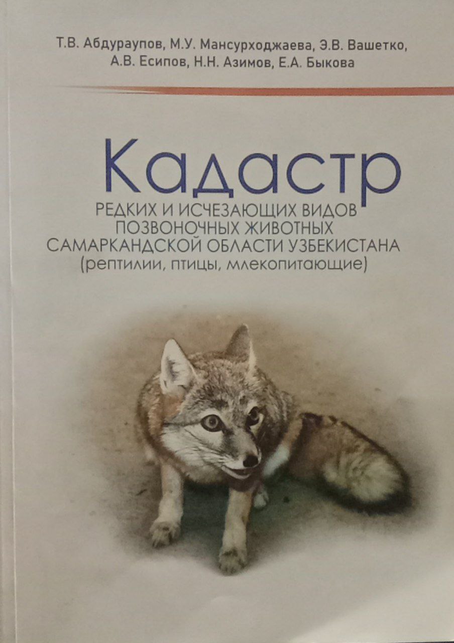 Кадастр