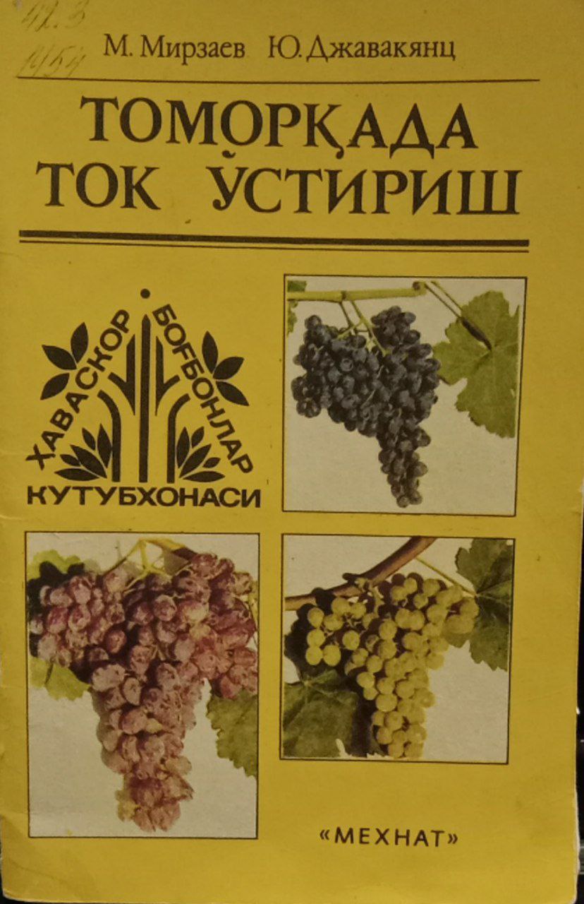 Томорқада ток ўстириш.