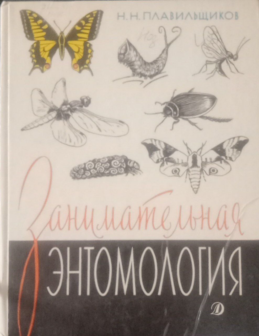 Занимательная энтомология.