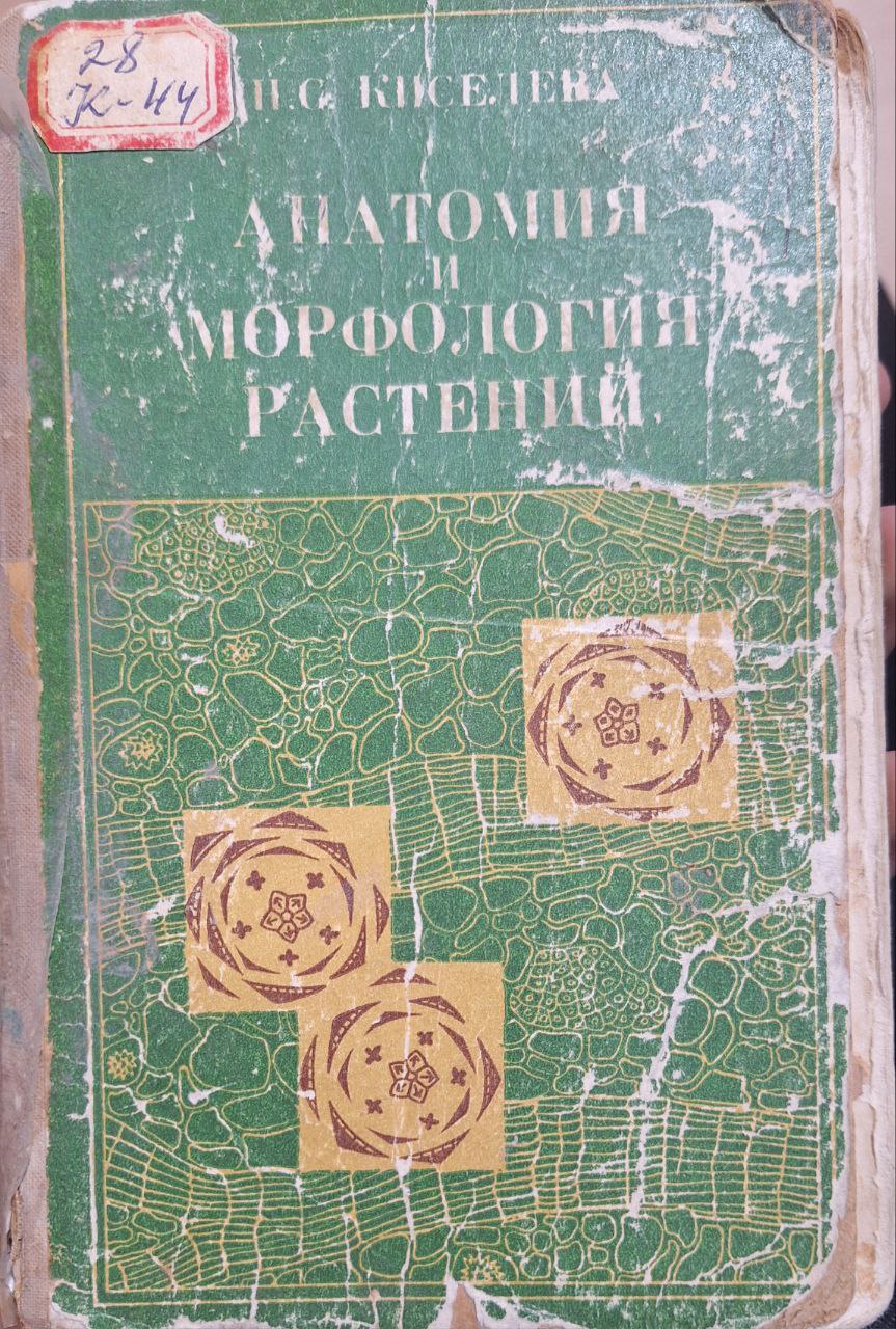 Анатомия и морфология растений