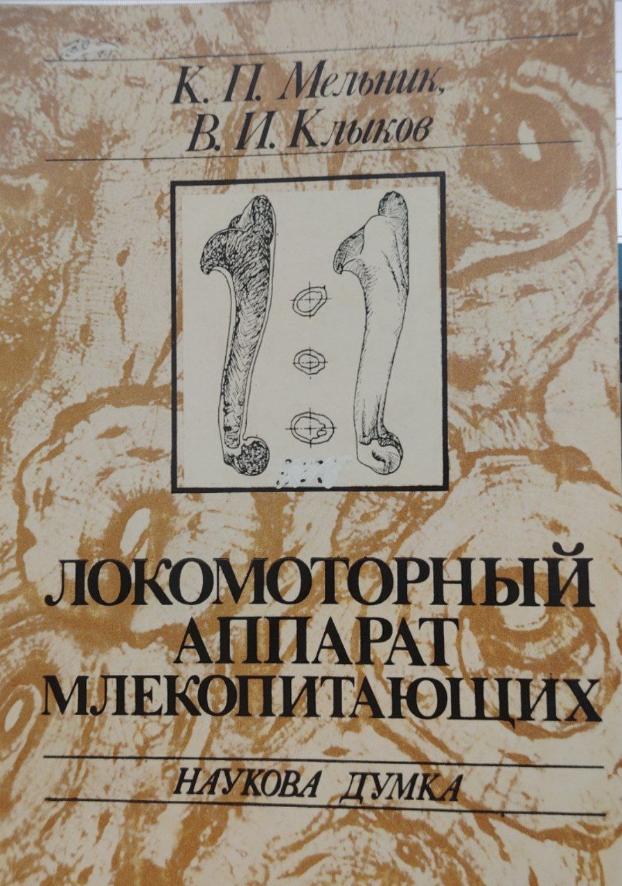 Локомоторнқй аппарат млекопитающих