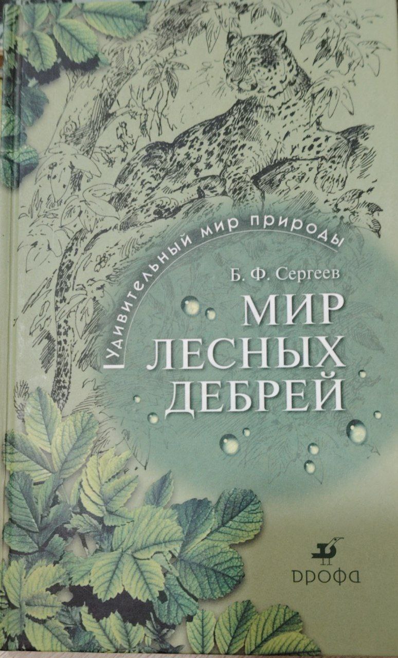 Мир лесных дебрей