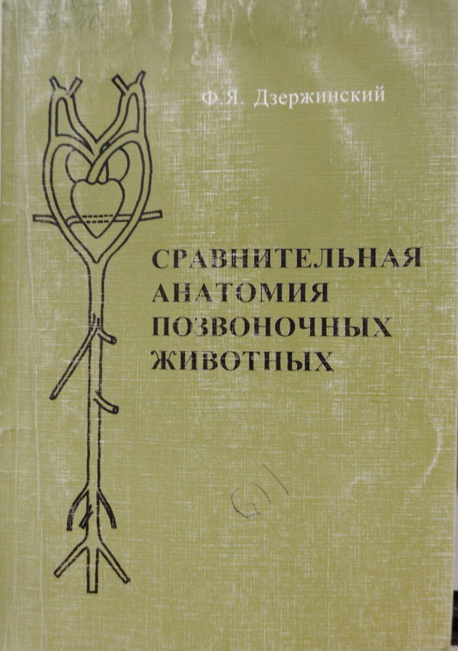 Сравнительная анатомия позвоночных животных