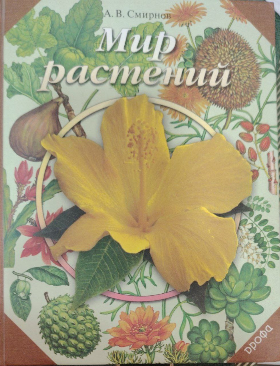 Мир растений