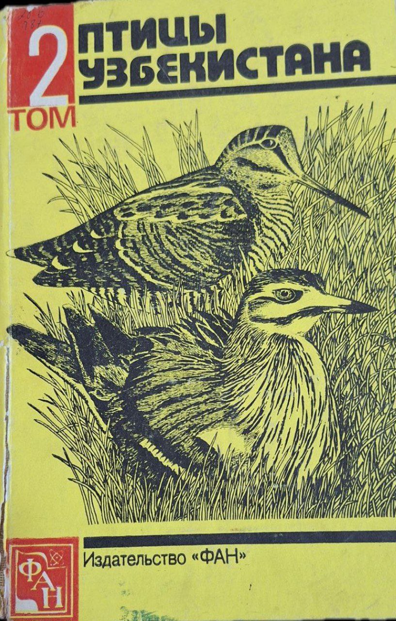 Птицы Узбекистана