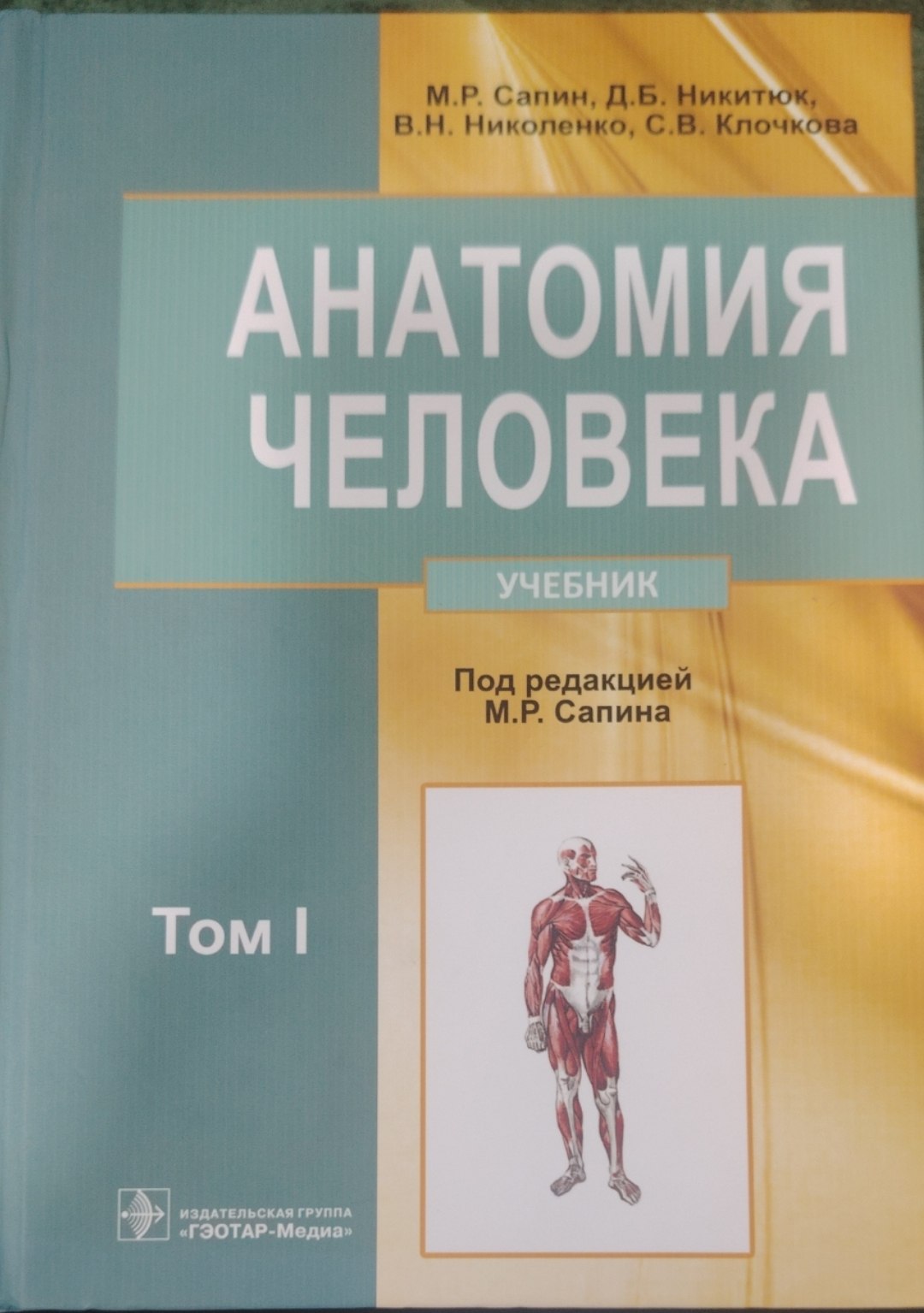 Анатомия человека