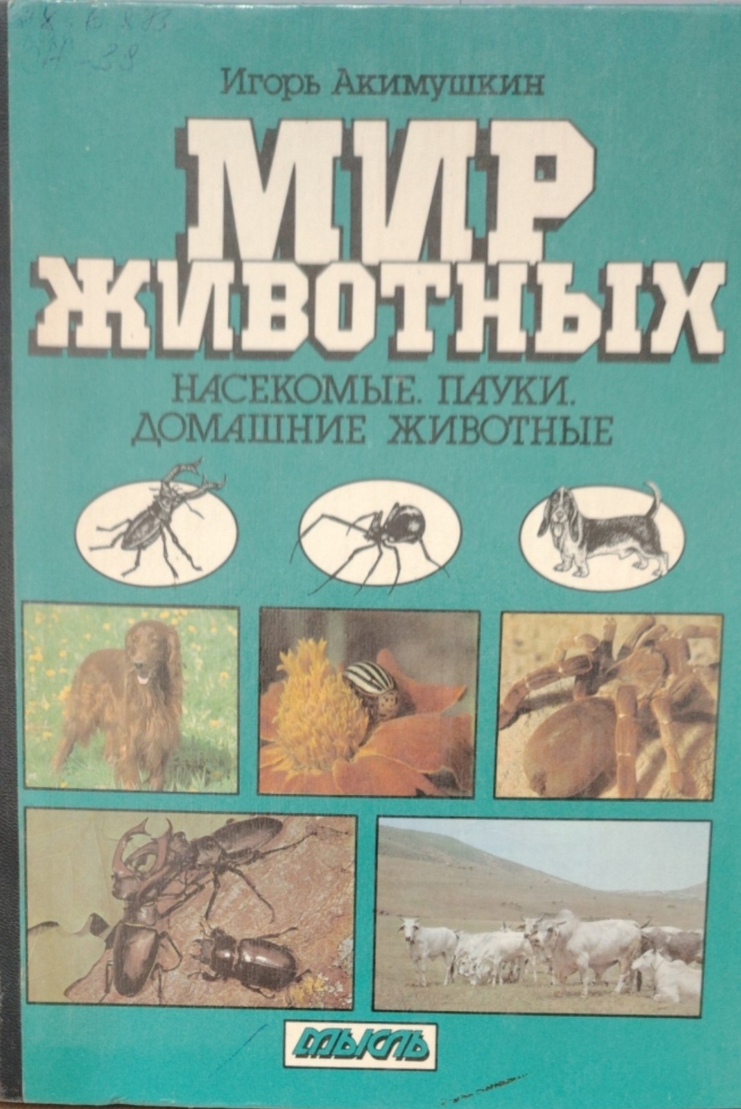 Мир животных.