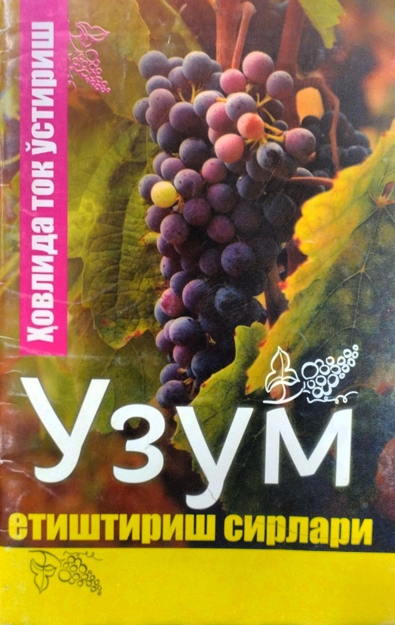 Узум етиштириш сирлари (ҳовлида ток ўстириш)