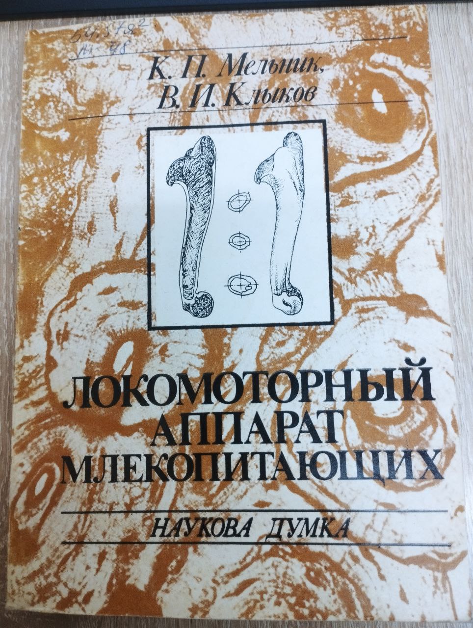 Локомоторный аппарат млекопитающих