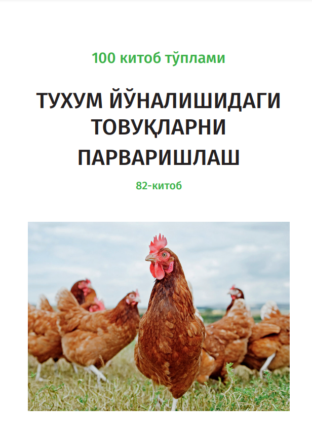 ТУХУМ ЙЎНАЛИШИДАГИ ТОВУҚЛАРНИ ПАРВАРИШЛАШ