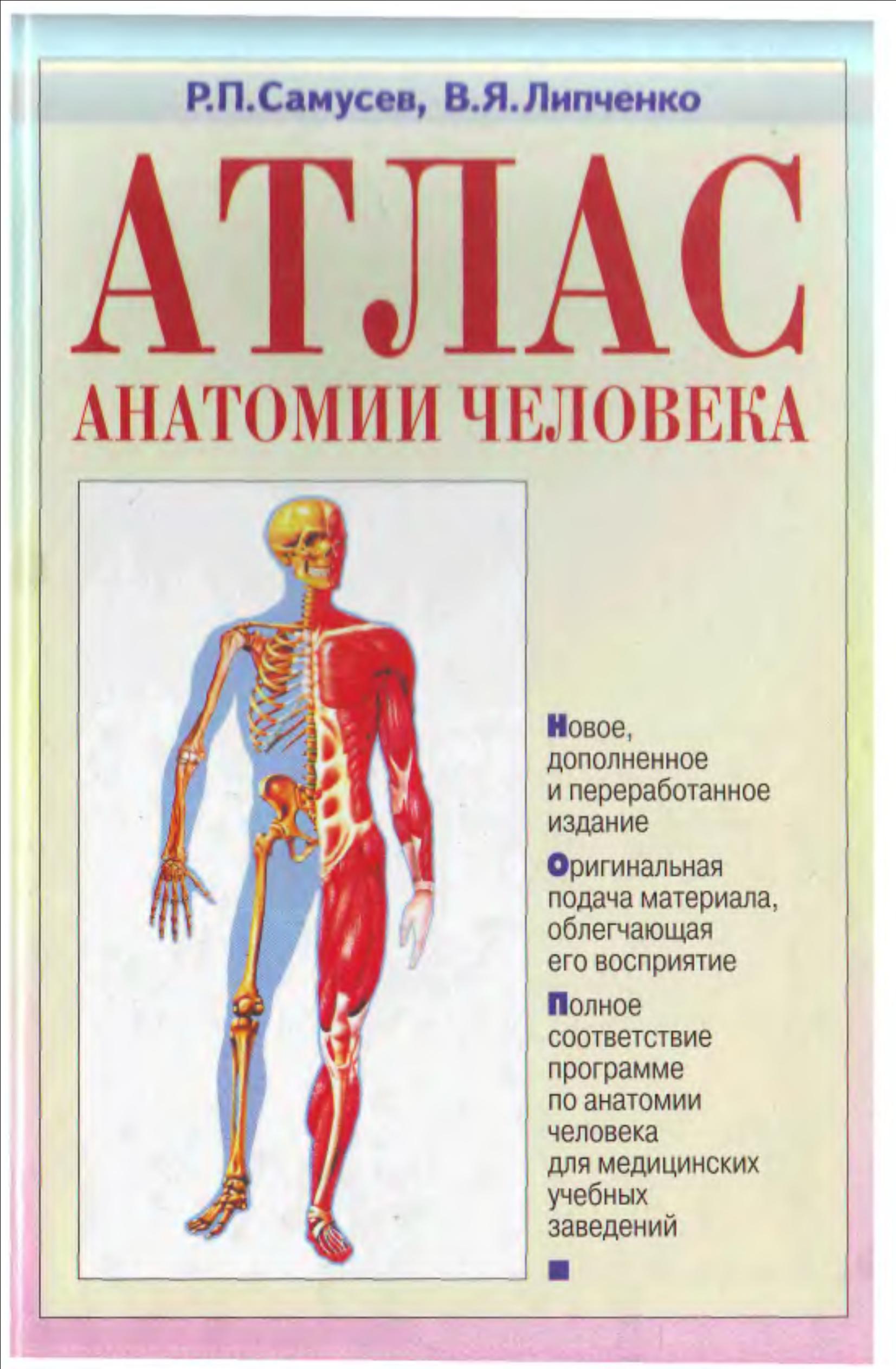 Атлас анатомии человека