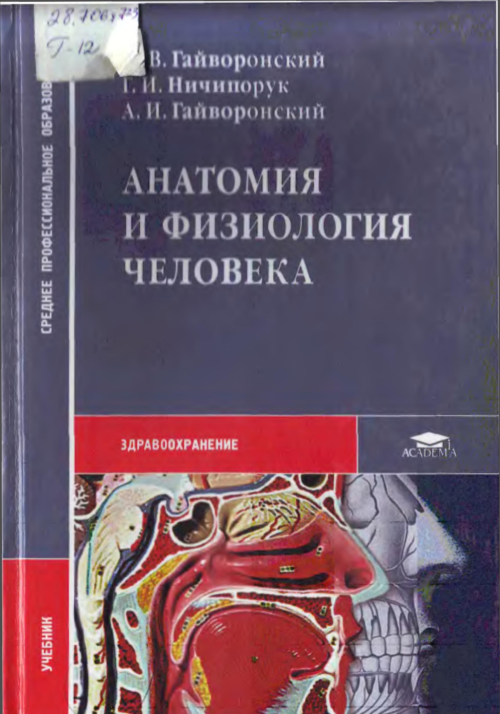 Анатомия и физиология человек