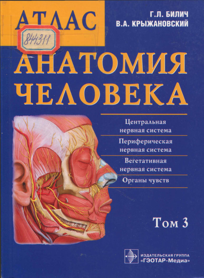 Атлас анатомия человека. В трех томах том- 3