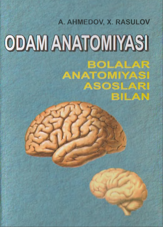 Odam anatomiyasi, bolalar anatomiyasi asoslari bilan