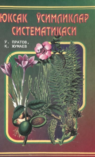 ЮКСАК ЎСИМЛИКЛАР СИСТЕМАТИКАСИ
