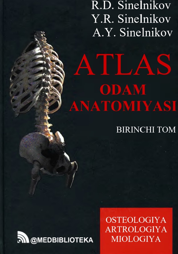 Atlas odam anatomiyasi