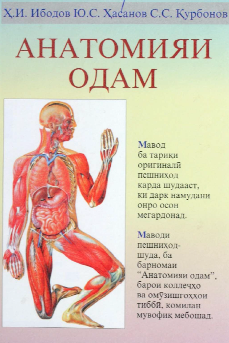 Анатомияи Одам