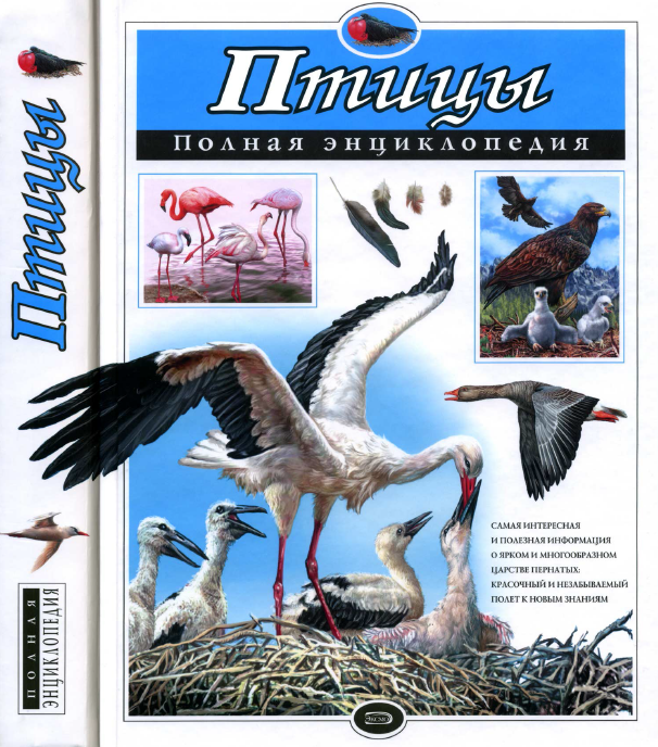 Птицы. Полная энциклопедия (Атласы и энциклопедии)