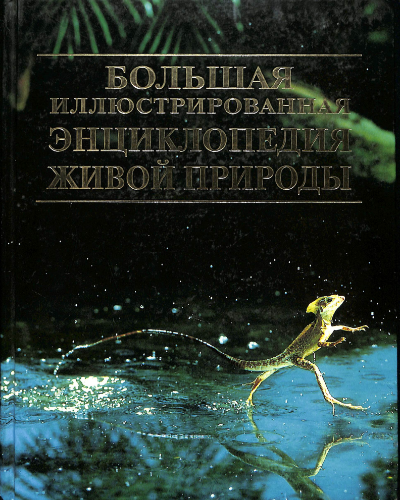 Большая иллиюстрированная энциклопедия живой природы Девид Берни