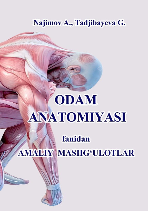 Odam anatomiyasi