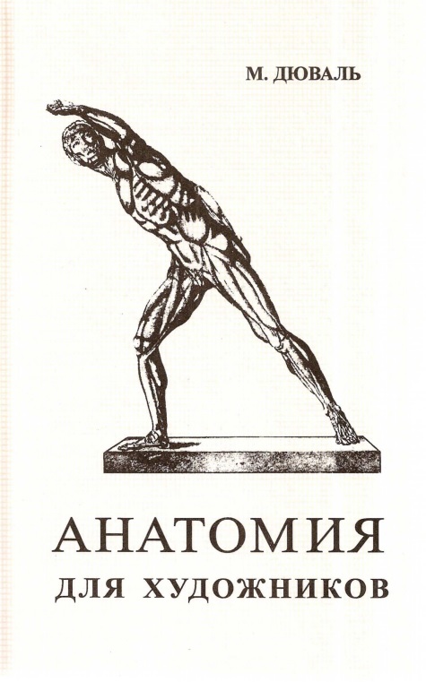 Анатомия для художников