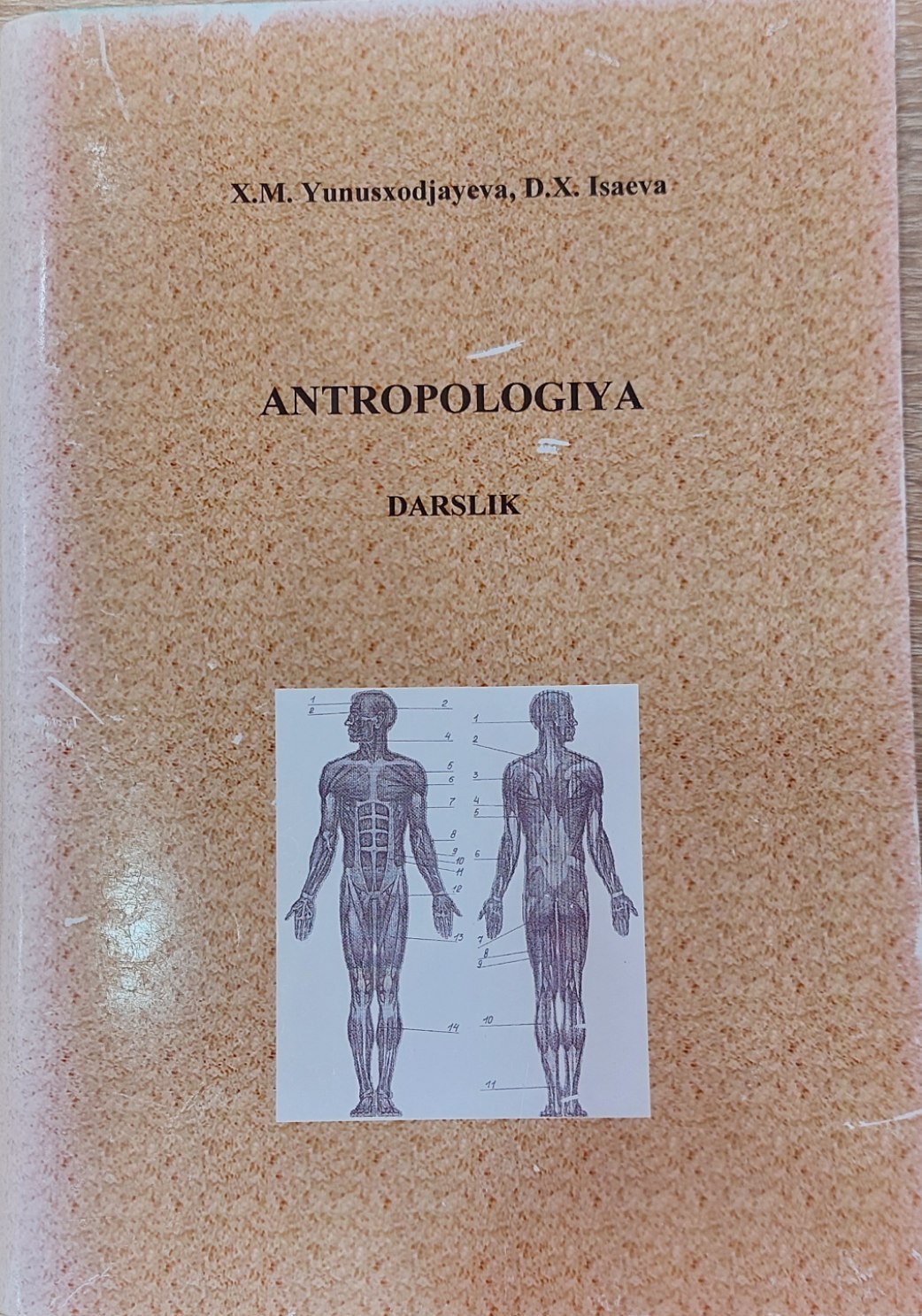 Antropologiya