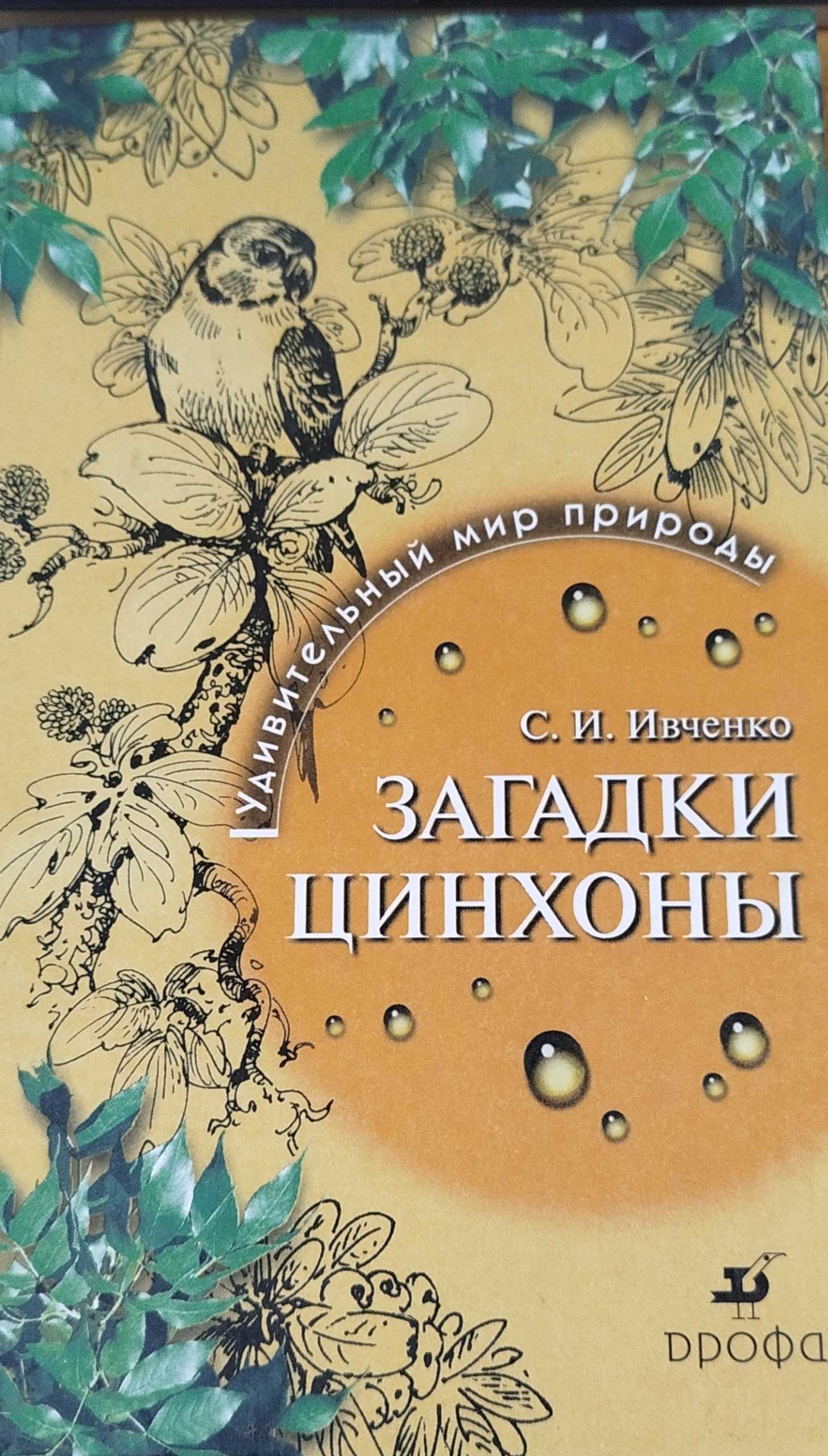 Загадки цинхоны