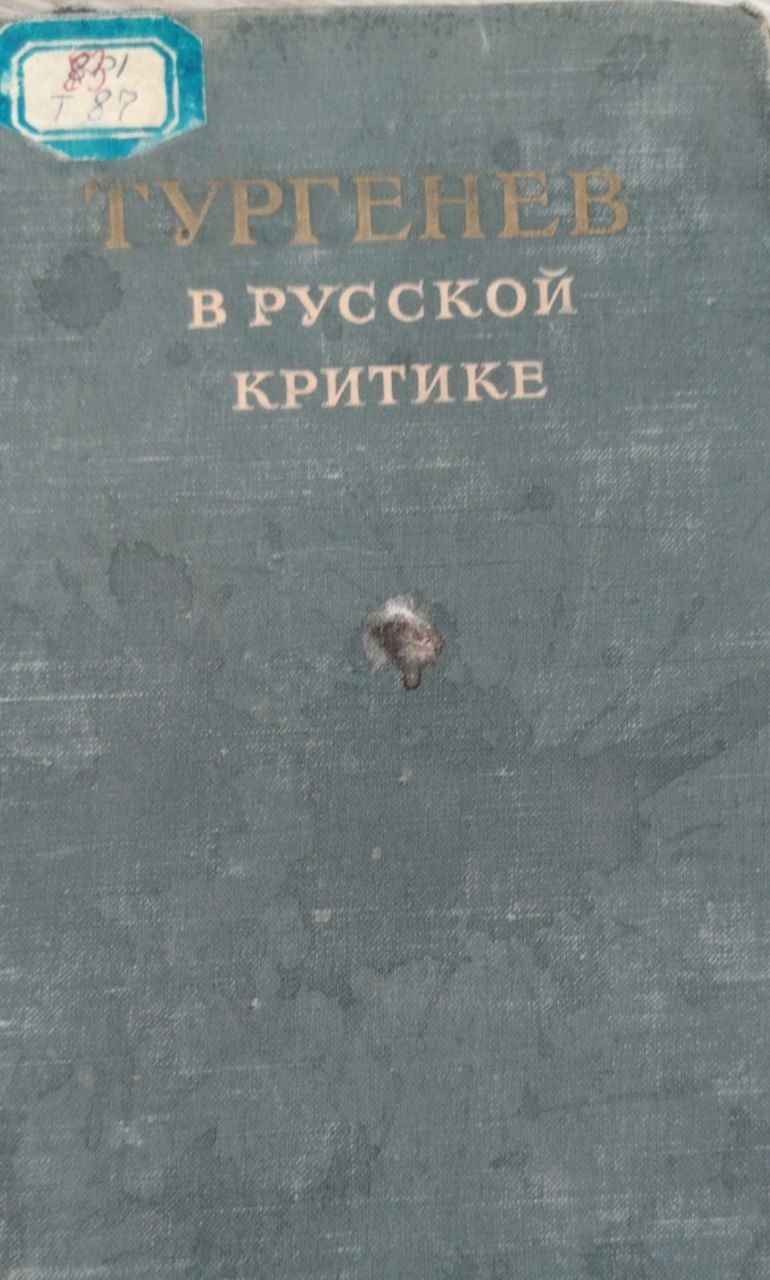 В руссой критике