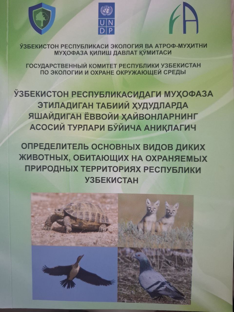 Ўзбекистон Республикасидаги муҳофаза этиладиган табиий ҳудудларда яшайдиган ёввойи ҳайвонларнинг асосий турлари бўйича аниқлагич