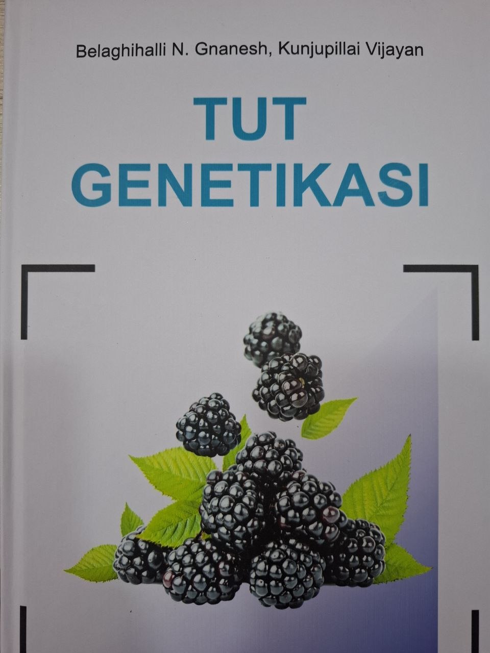 Tut genetikasi