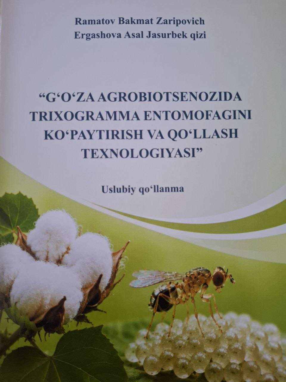 G'o'za agrobiotsenozida trixogramma entomofagini ko'paytirish  va qo'llash texnologiyasi