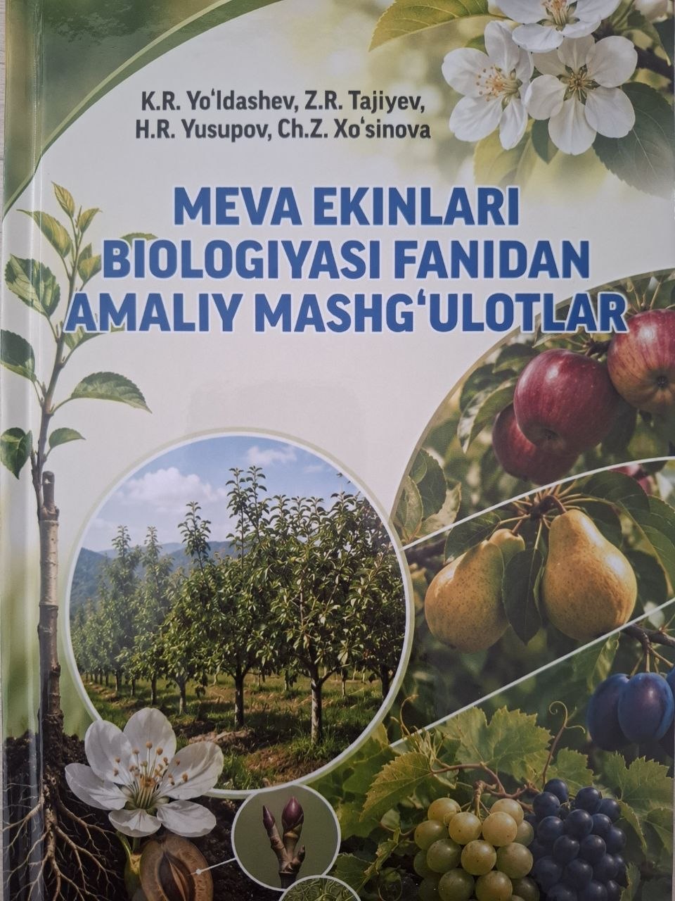 Meva ekinlari biologiyasi fanidan amaliy mashg'ulotlar
