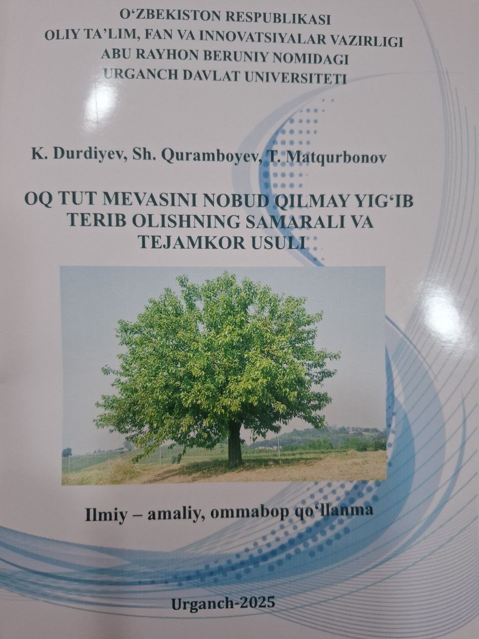 Oq tut mevasini nobud qilmay yig'ib terib olishning samarali va tejamkor usuli