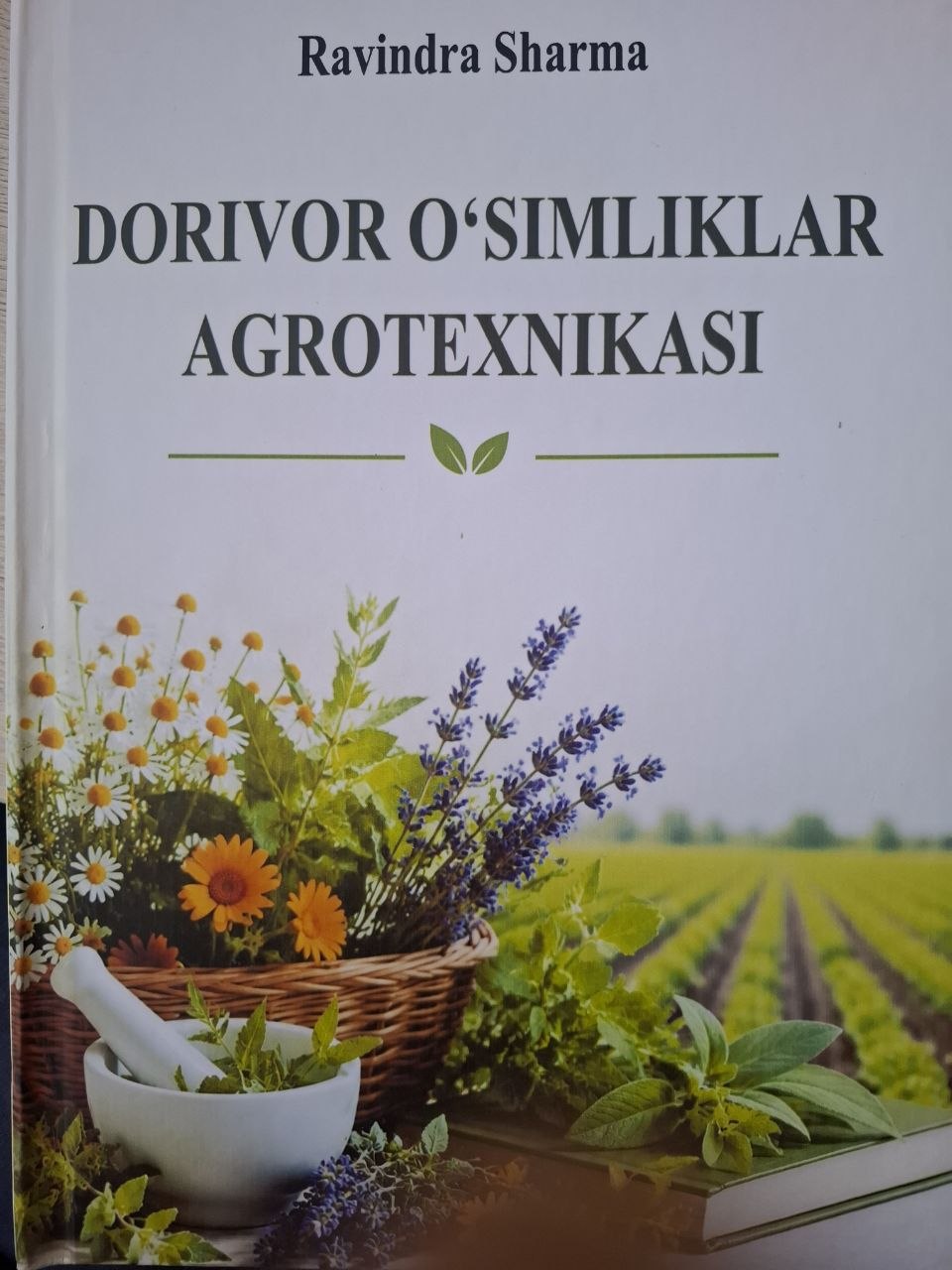 Dorivor o'simliklar agrotexnikasi