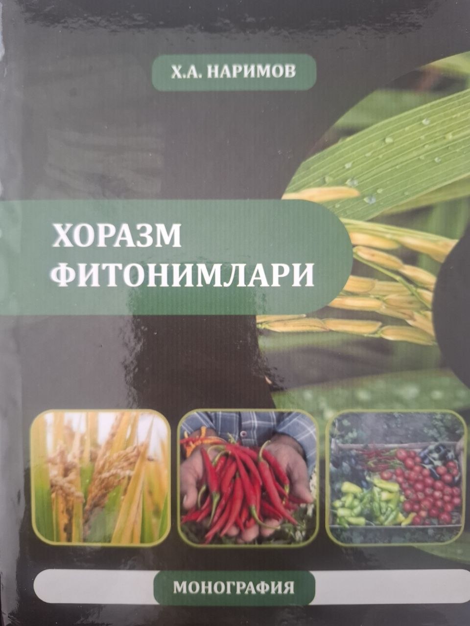 Хоразм фитонимлари