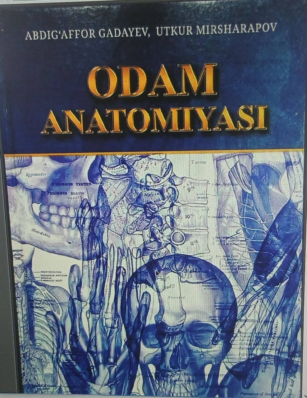 Odam anatomiyasi