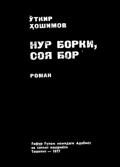 Нур борки, соя бор