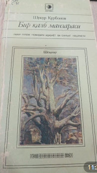 Бир қалб манзараси