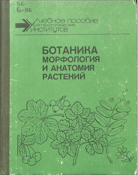 Ботаника морфология и анатомия растений